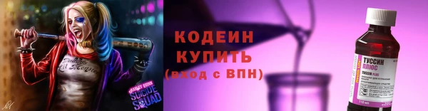 стаф Новодвинск