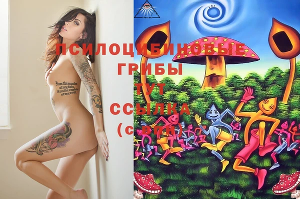альфа пвп Нефтегорск