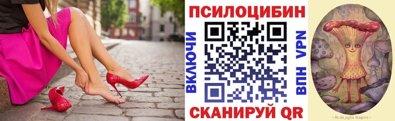 Псилоцибиновые грибы GOLDEN TEACHER  Купить  Хотьково 