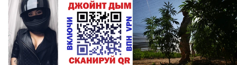 Купить  Хотьково  Канабис ГИДРОПОН 